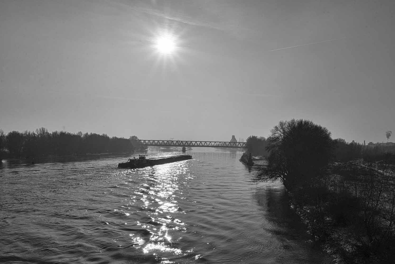 Die Elbe im Januar