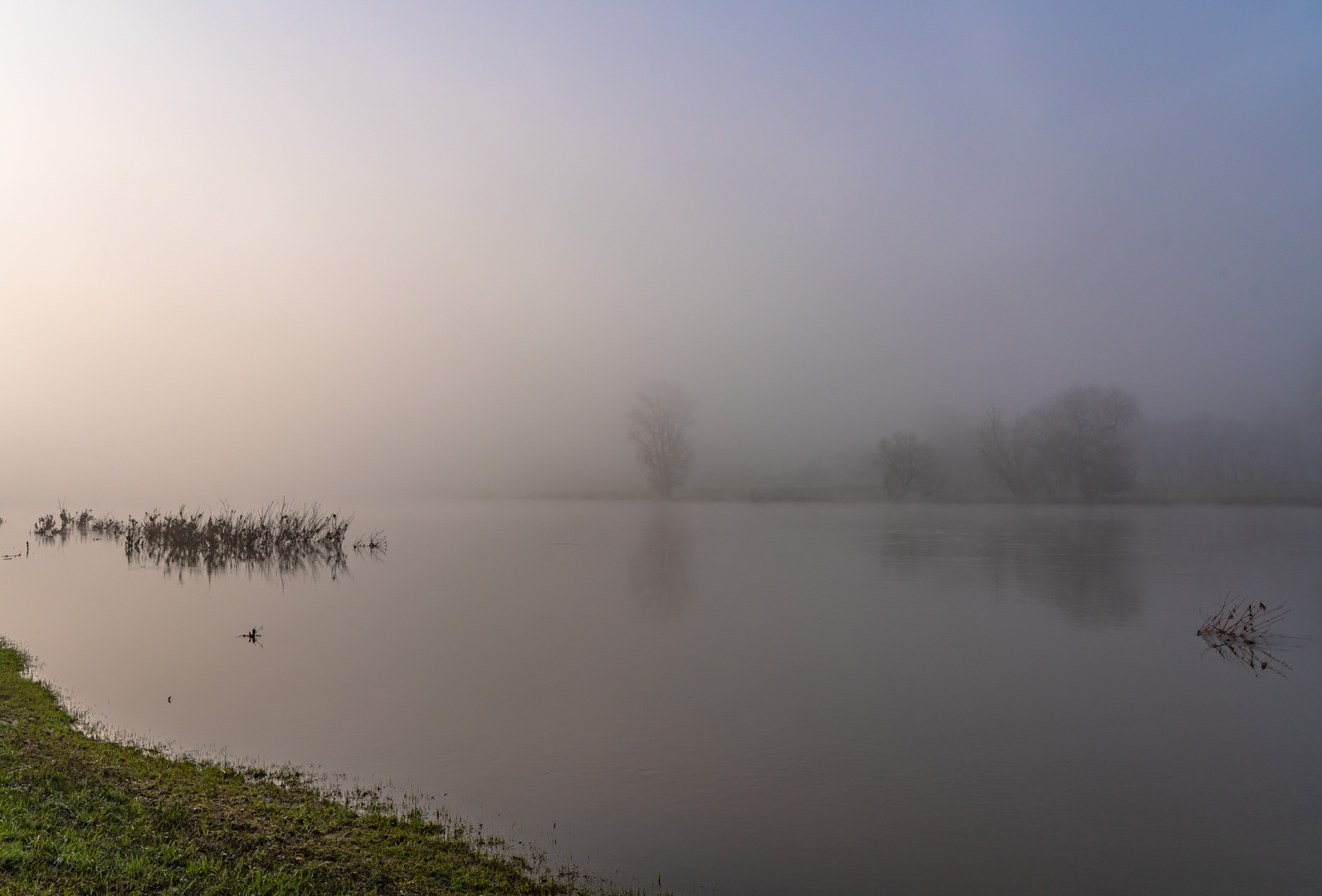 die Elbe im Nebel