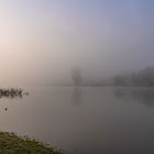 die Elbe im Nebel