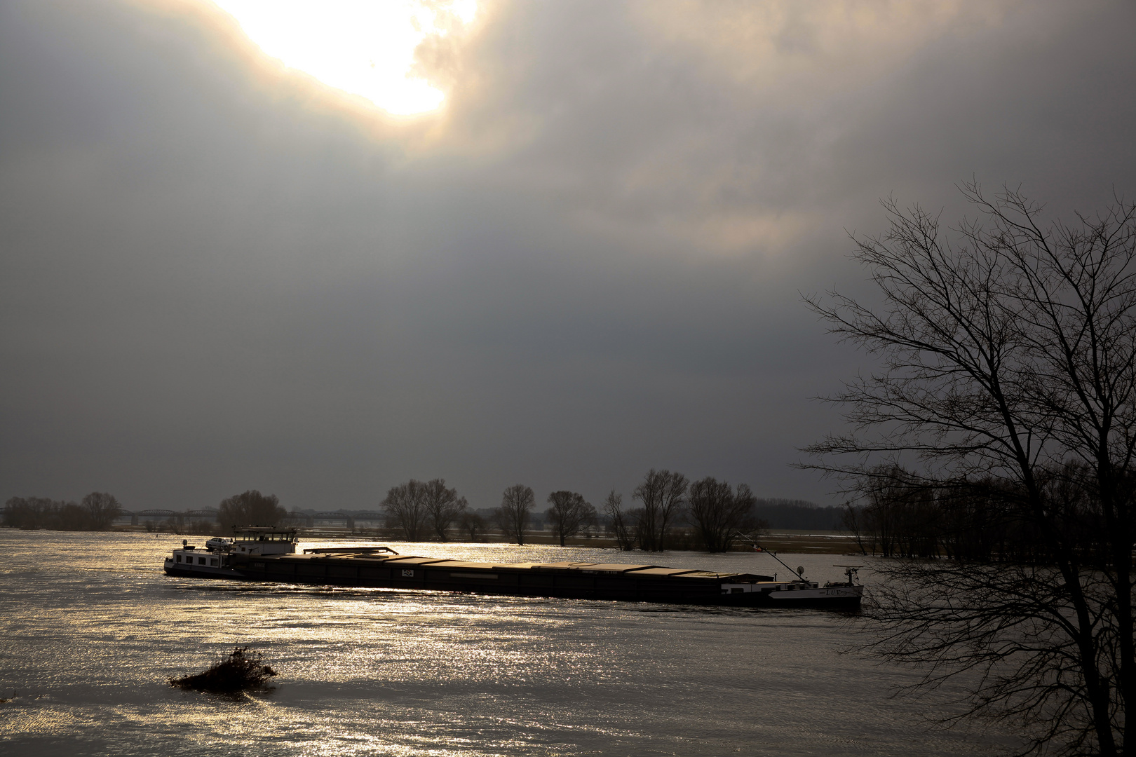 Die Elbe im November