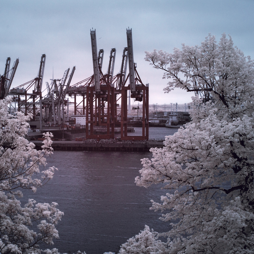 Die Elbe im "unsichtbaren Licht"