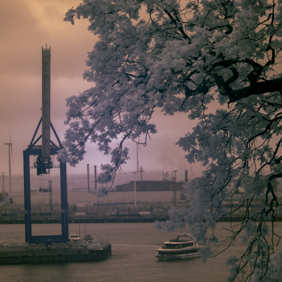 Die Elbe im "unsichtbaren Licht"