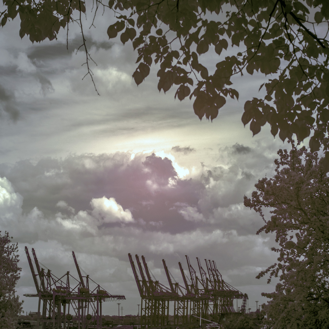 Die Elbe im "unsichtbaren Licht"