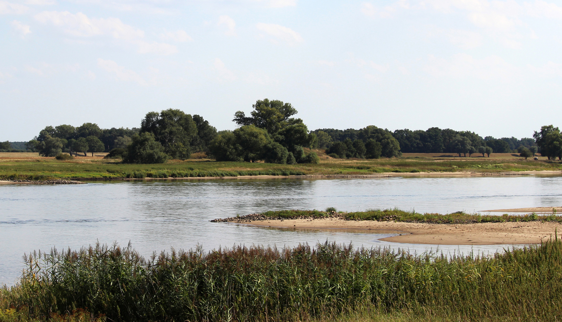 Die Elbe in Arneburg