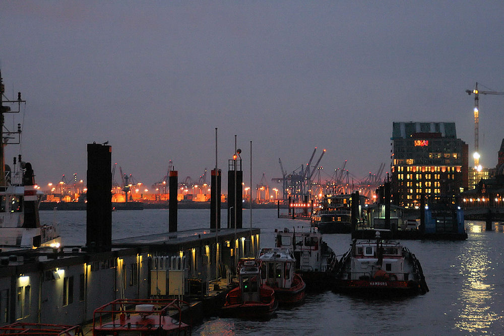 Die Elbe in Hamburg 01