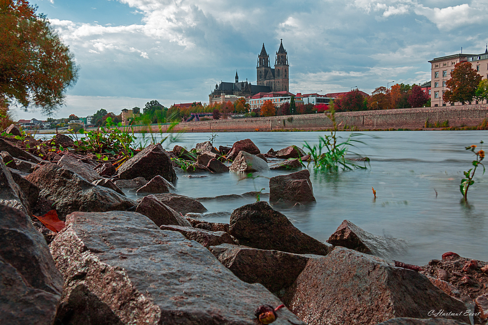 Die Elbe in Magdeburg