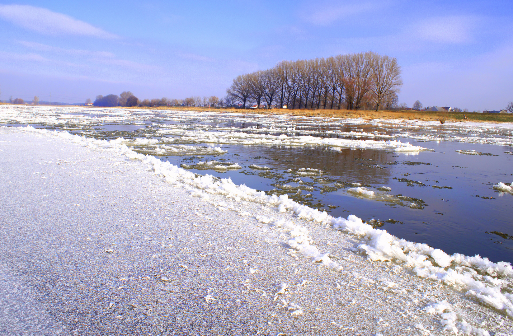 Die Elbe in Riesaer Winter