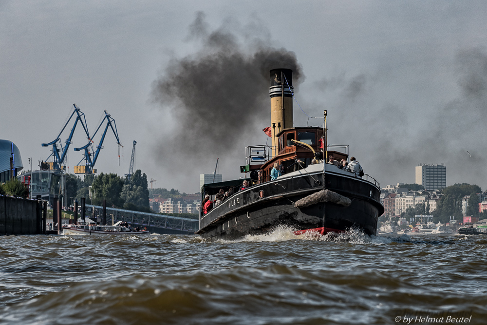 Die Elbe kommt