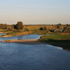 Die Elbe liegt mir zu Füßen