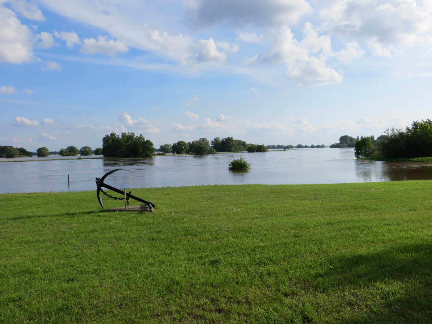 Die Elbe mit Hochwasser