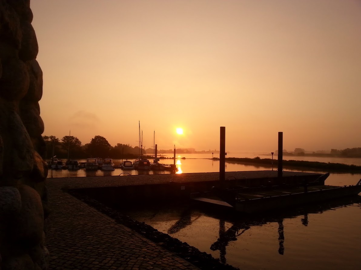 Die Elbe morgens am Zollenspieker Fährhaus