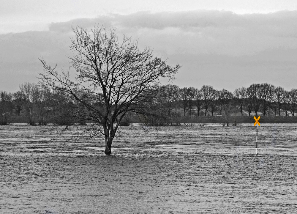 Die Elbe stellt sich quer