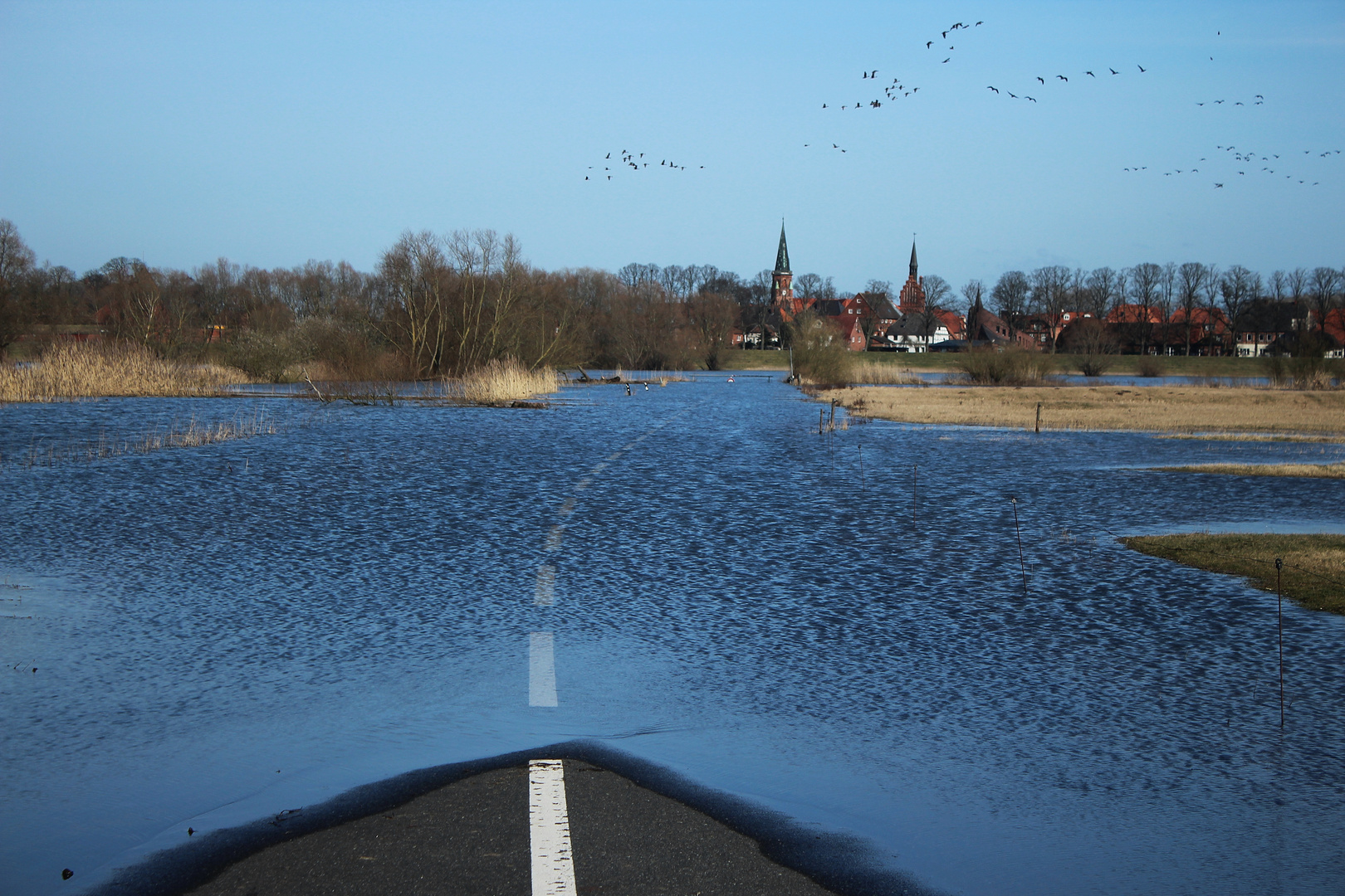 Die Elbe sucht sich ihren Weg