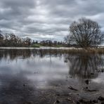 Die Elbe verlässt ihr Bett