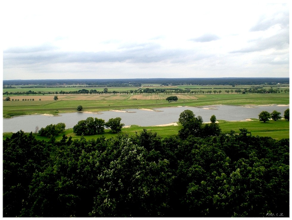 Die Elbe von oben