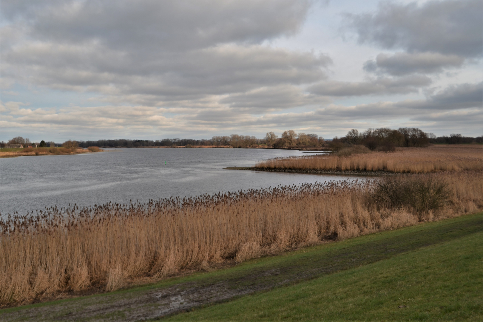 Die Elbe vor dem Schnee !