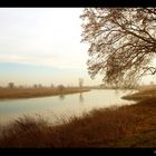 Die Elbe zieht an Torgau Vorbei.