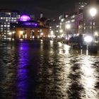 Die Elbe zu Besuch auf dem Fischmarkt