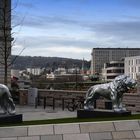 Die Elberfelder Löwen am HBF Wuppertal