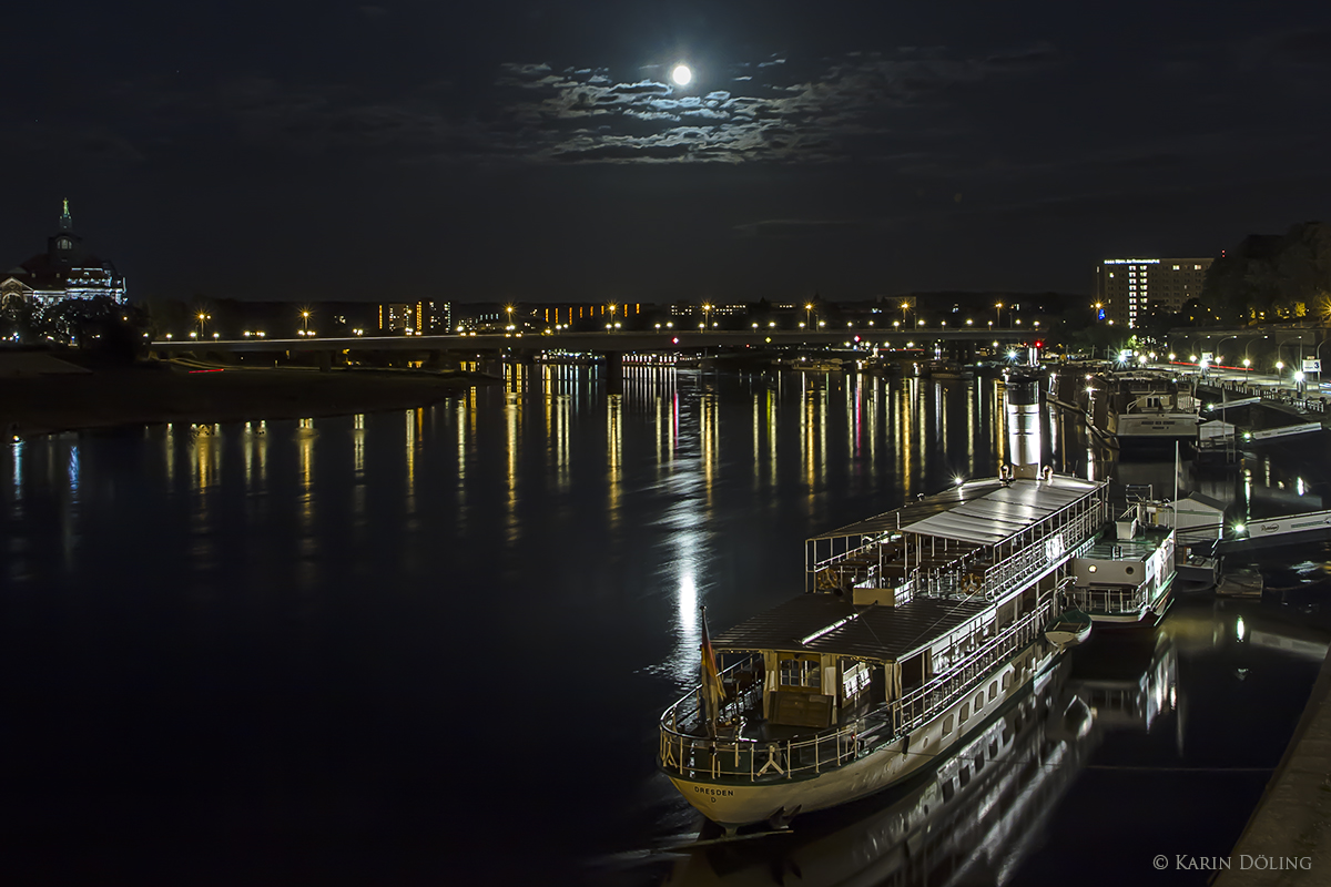 Die Elbflotte in Dresden