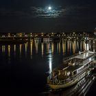 Die Elbflotte in Dresden