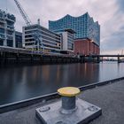 Die Elbphilharmonie 