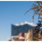 die Elbphilharmonie