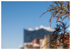 die Elbphilharmonie