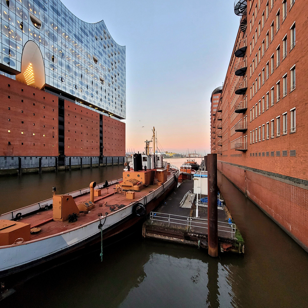 Die Elbphilharmonie - das Tor zur Welt