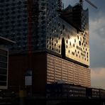 Die Elbphilharmonie - in einem anderem Licht