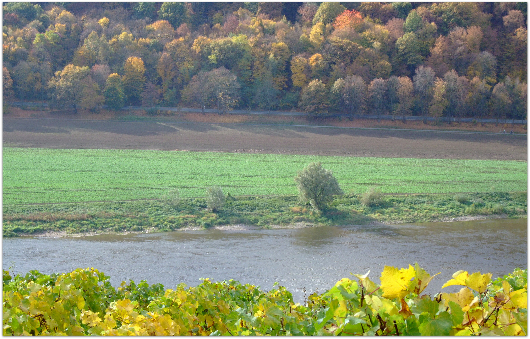 Die Elbtalhänge im letzten Herbstlicht