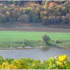 Die Elbtalhänge im letzten Herbstlicht