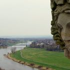 die Elbwiesen, wenn der Frühling kommt