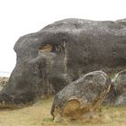 Die Elephant Rocks