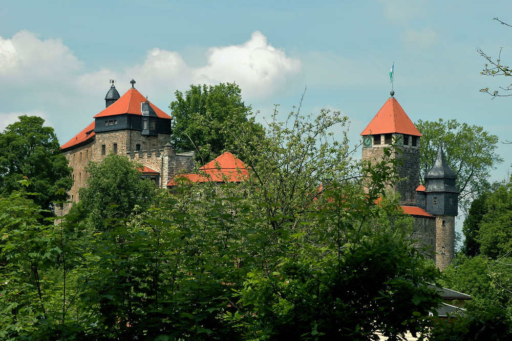 Die Elgersburg im Frühling