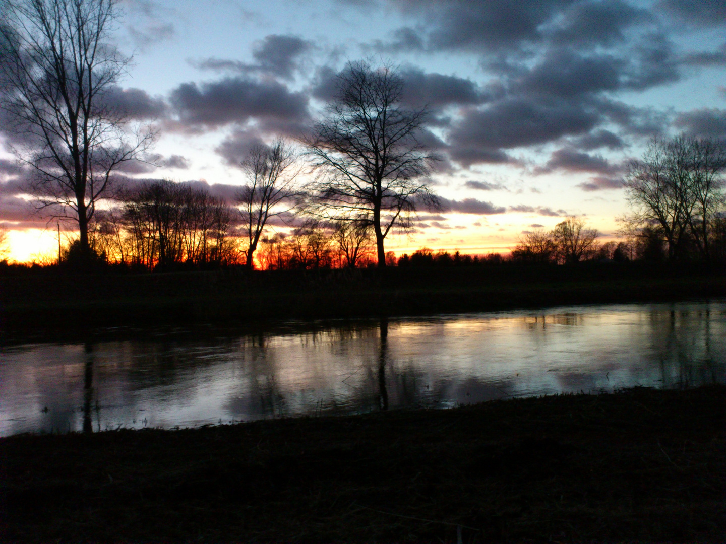 Die Elster bei Sonnenuntergang