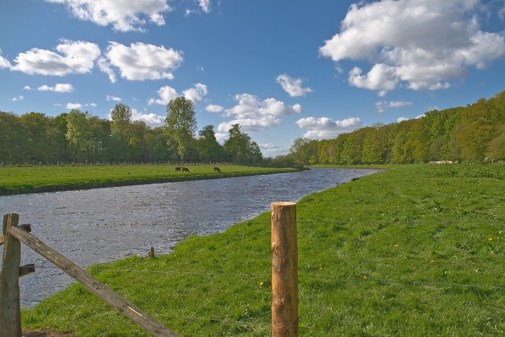 Die "Ems" am "Biener Busch"