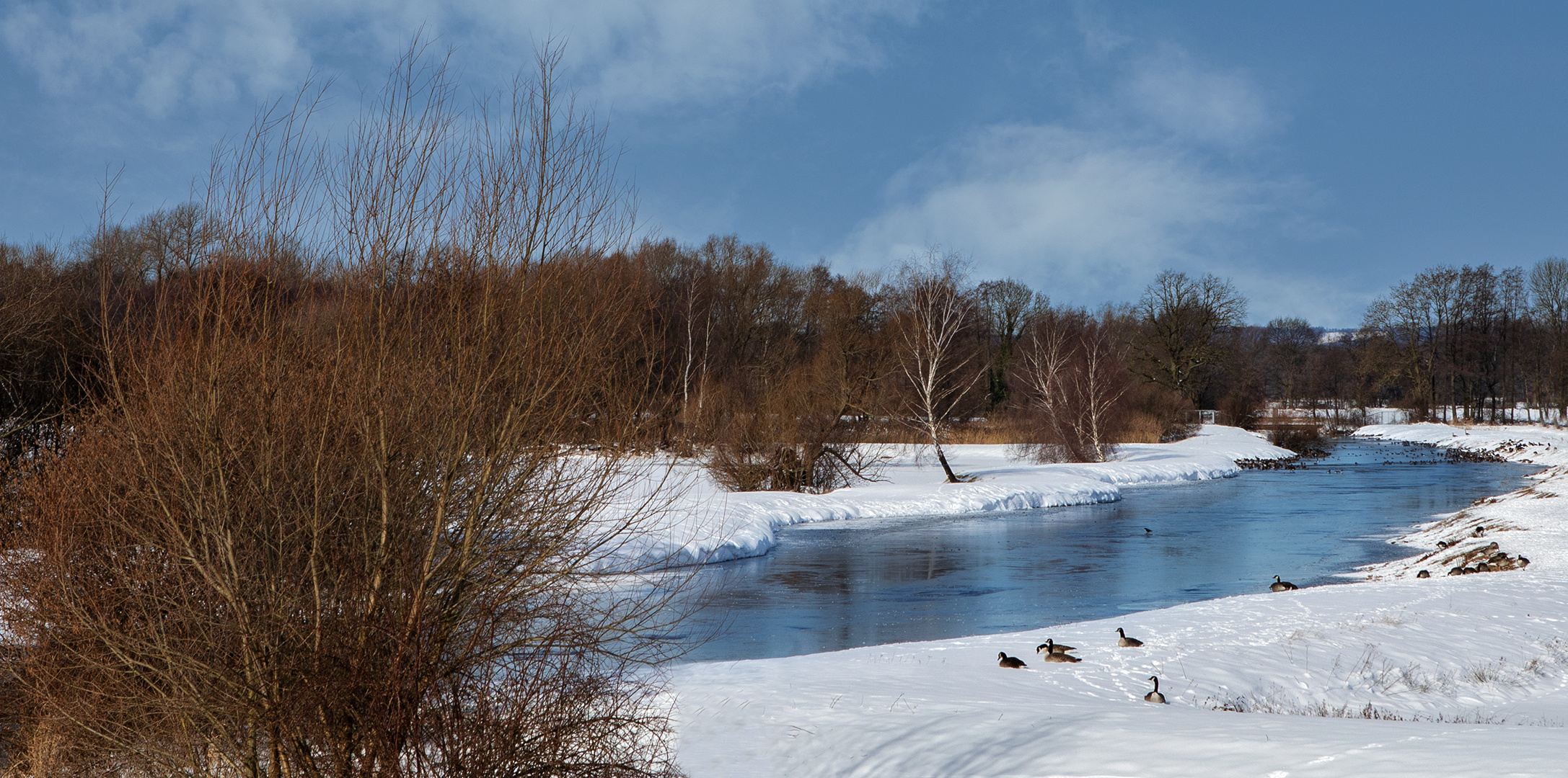 Die Ems im Winter 015a