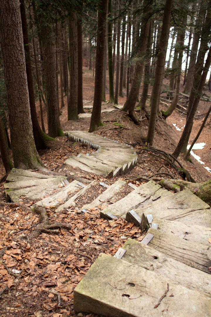 die endlose Treppe...