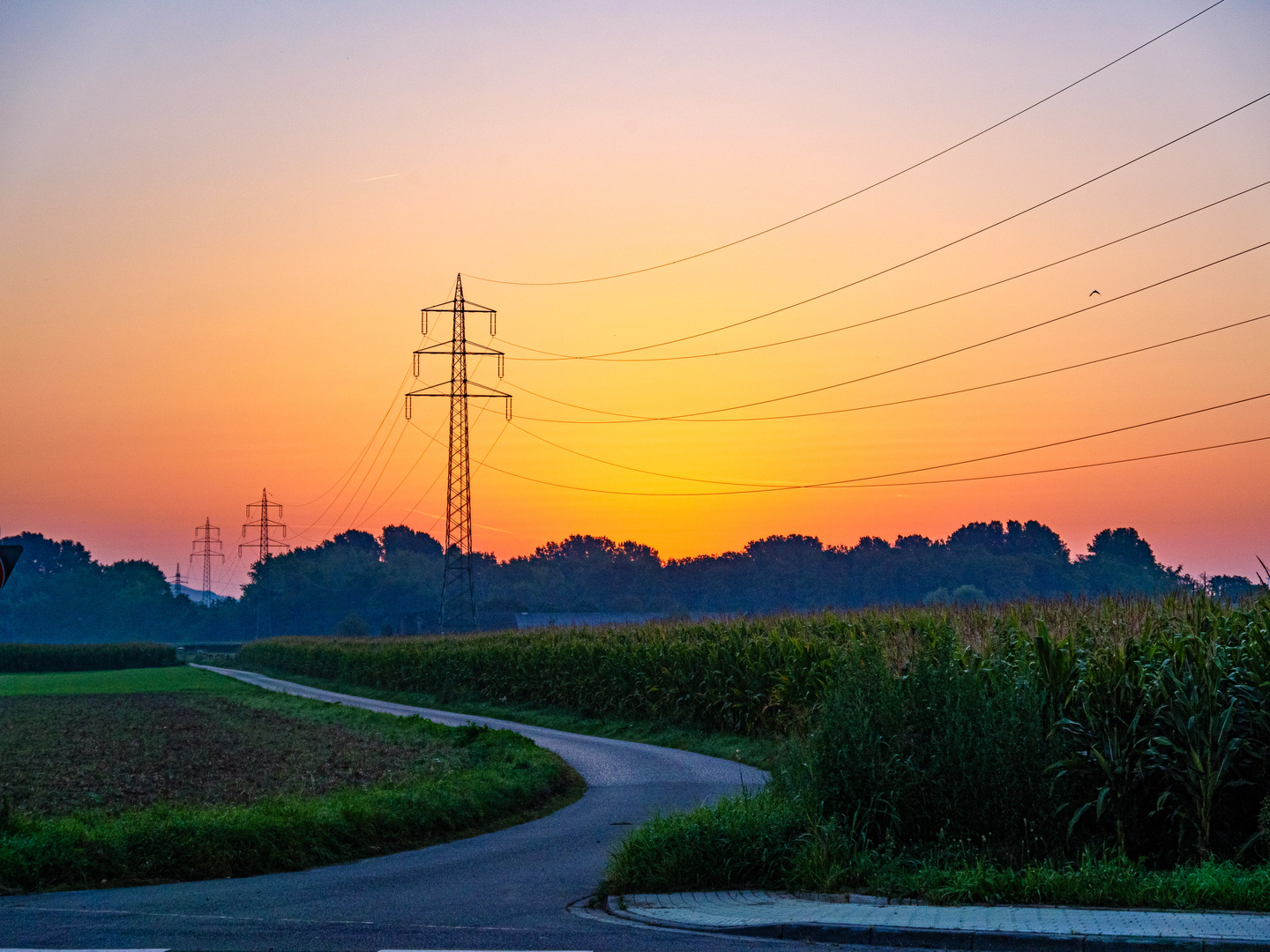 die Energie eines Tages, sie sammlt sich 