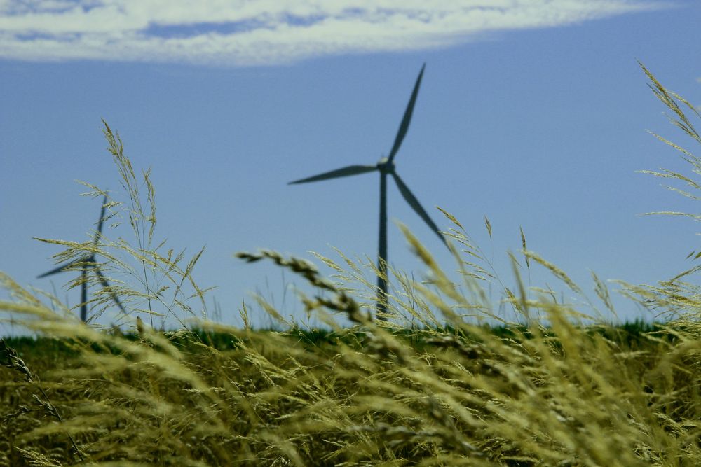 Die Energie in der Natur