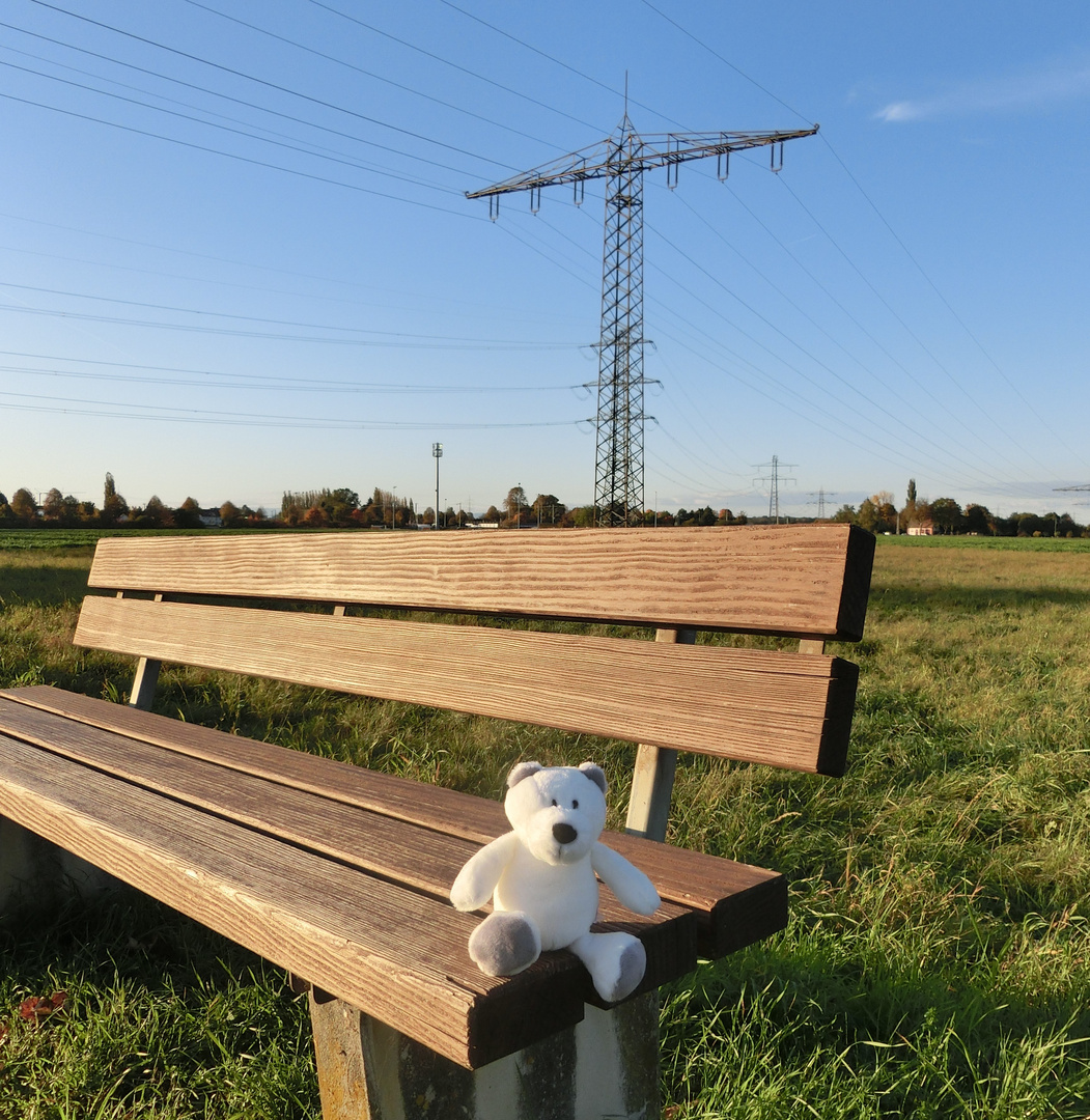 Die Energiewende auf der langen Bank