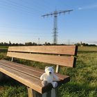 Die Energiewende auf der langen Bank