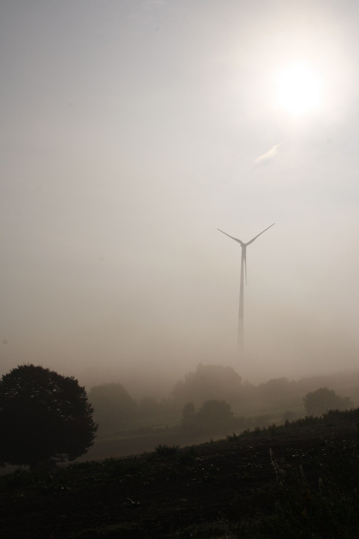 Die Energiewende im Herbst