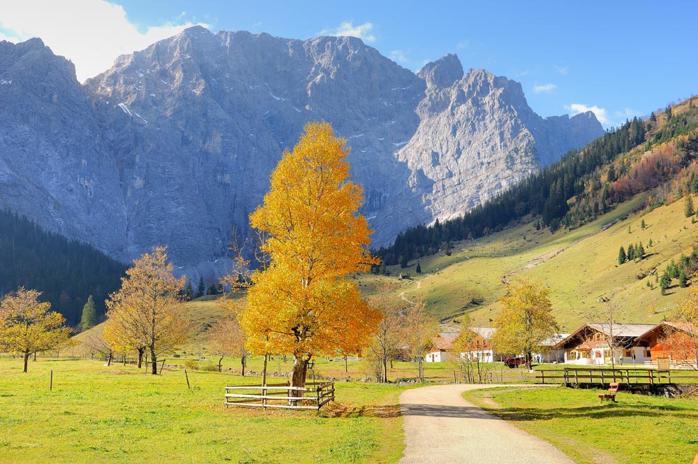 Die Eng-Alm im Herbst 01 Foto & Bild | landschaft, Äcker, felder & wiesen,  landschaften Bilder auf fotocommunity