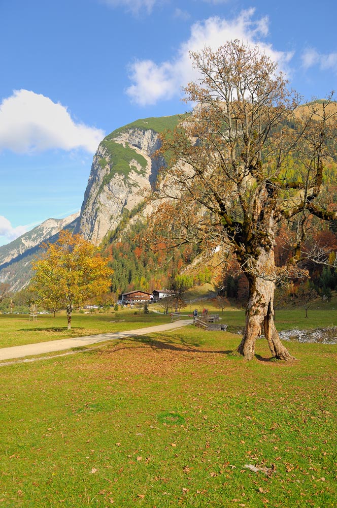 Die Eng-Alm im Herbst 03