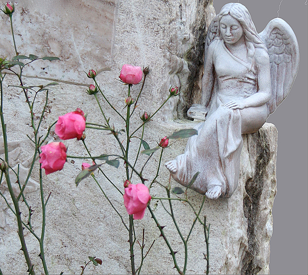 Die Engel Sind Mude Iii Foto Bild Trauerkarten Trauer Blumen Und Bluten Bilder Auf Fotocommunity