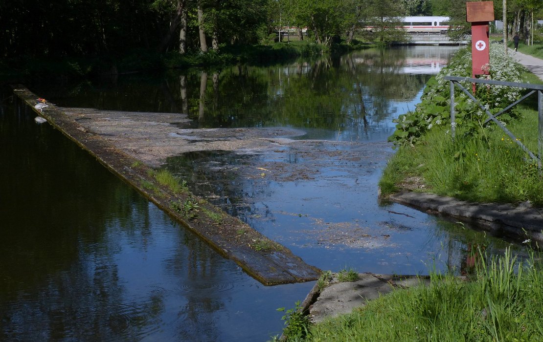 Die Ente brauchen Grütze und First Aid