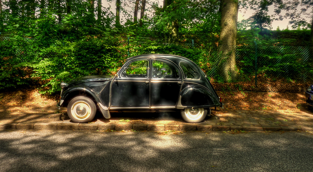 Die Ente  ( HDR )