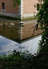 Die Ente vor dem Entenhaus